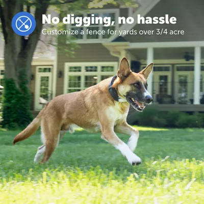 Product PetSafe Guardian® GPS Dog Fence