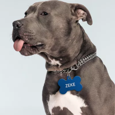 TagWorks® Aluminum Bone Shaped ID Tag - Image 3