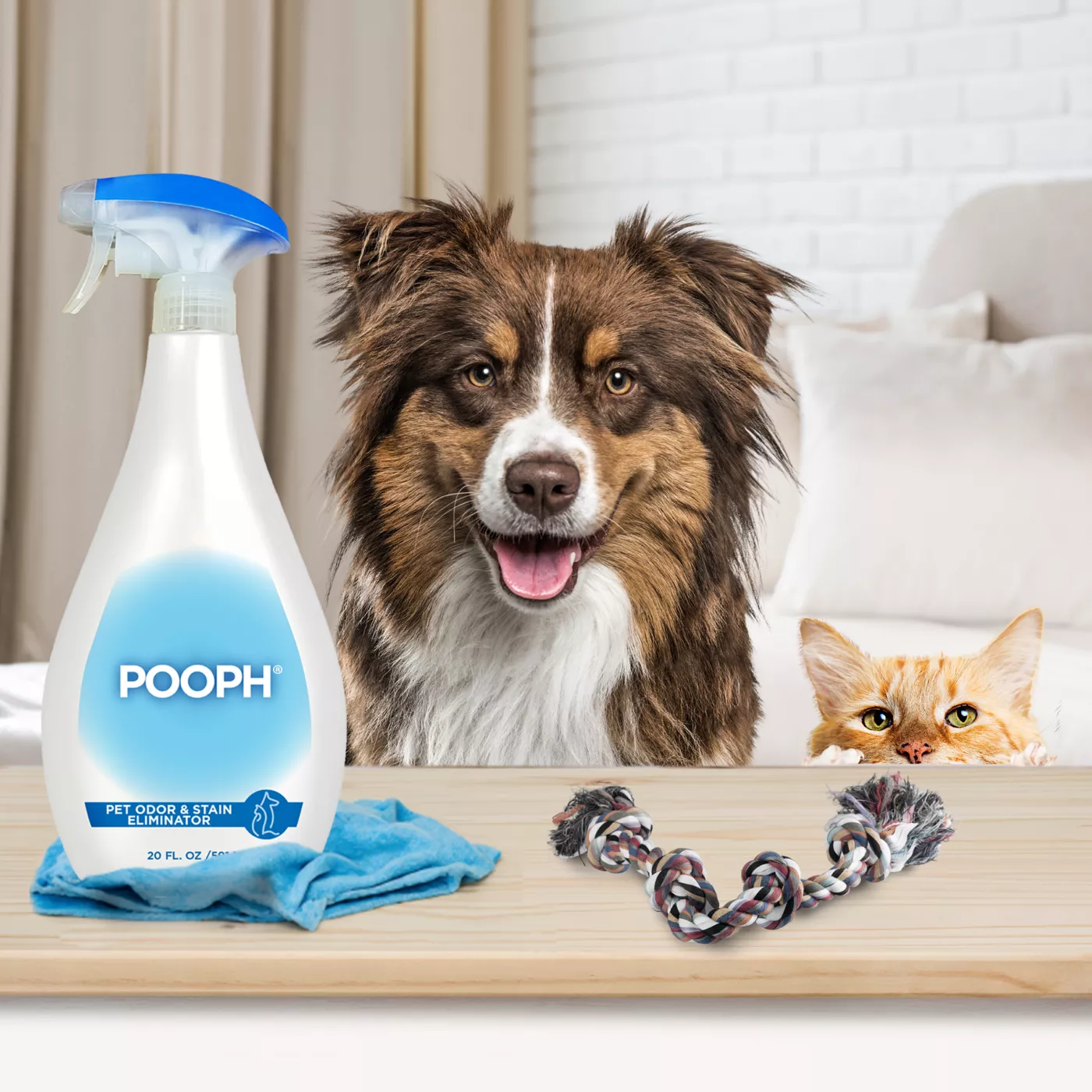 POOPH Pet Stain and Odor Eliminator 20 oz