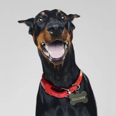 TagWorks® Aluminum Bone Shaped ID Tag - Image 3