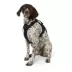 KONG® Waste Bag Dog Harness image thumbnail 2