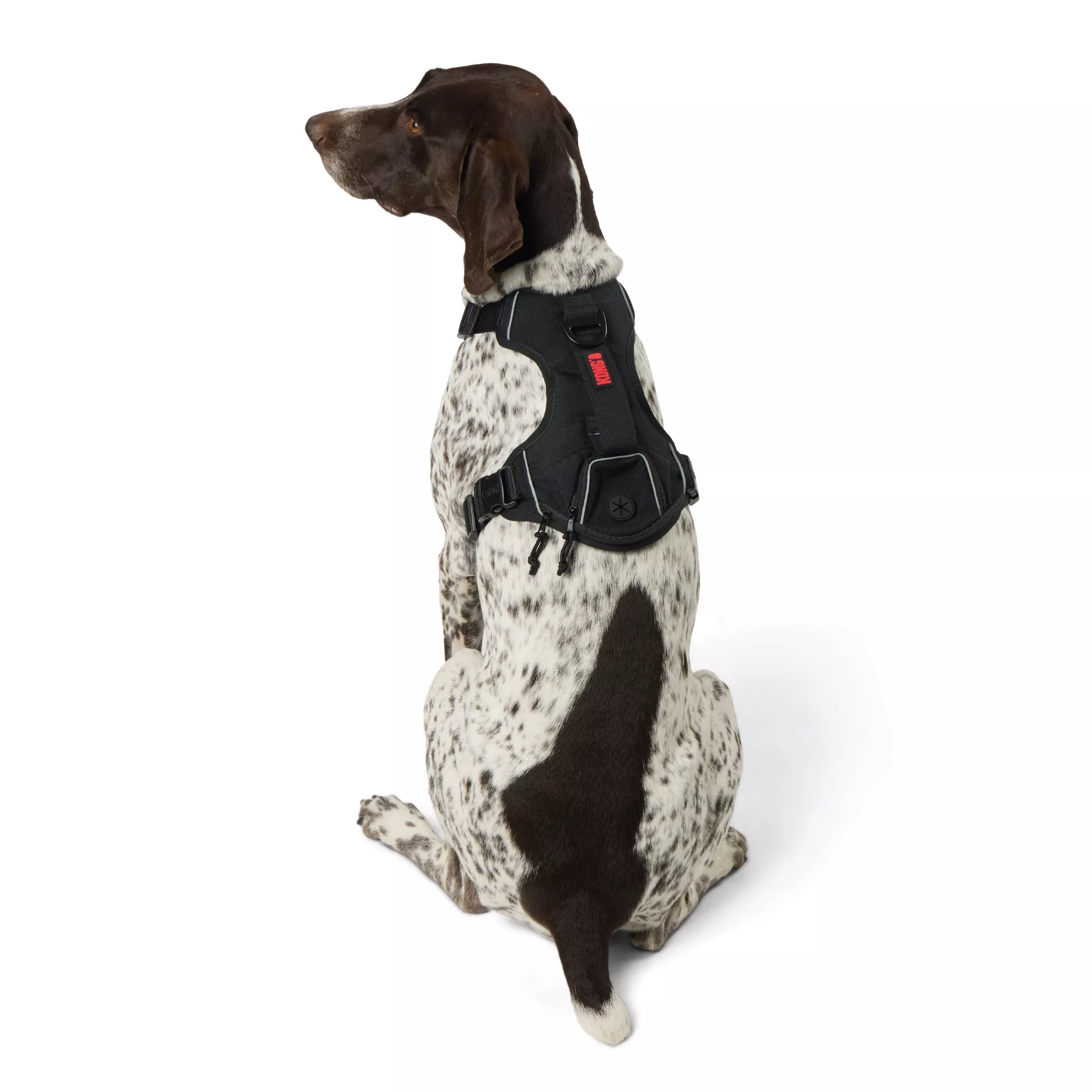 KONG® Waste Bag Dog Harness