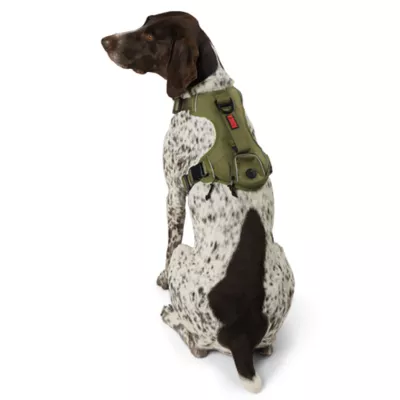 KONG® Poop Bag Dog Harness, Waste Bag Holder, Adjustable, Durable, Multiple Sizes & Colors - Image 1