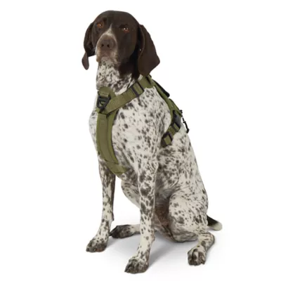KONG® Poop Bag Dog Harness, Waste Bag Holder, Adjustable, Durable, Multiple Sizes & Colors - Image 2