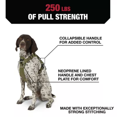 Product KONG® Waste Bag Dog Harness