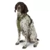 KONG® Poop Bag Dog Harness, Waste Bag Holder, Adjustable, Durable, Multiple Sizes & Colors image thumbnail 2