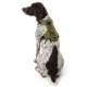 Product KONG® Waste Bag Dog Harness