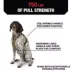KONG® Poop Bag Dog Harness, Waste Bag Holder, Adjustable, Durable, Multiple Sizes & Colors image thumbnail 3