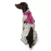 KONG® Poop Bag Dog Harness, Waste Bag Holder, Adjustable, Durable, Multiple Sizes & Colors image thumbnail 1