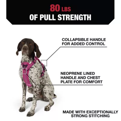 Product KONG® Waste Bag Dog Harness