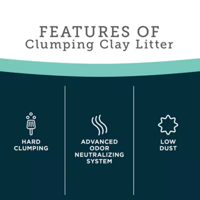 Product ExquisiCat Litter Premium Clumping Multi-Cat Clay Cat Litter - Scented, Low Dust