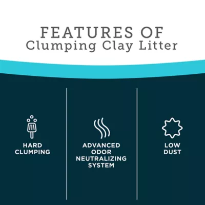 Product ExquisiCat Premium Clumping Multi-Cat Clay Cat Litter - Unscented, Low Dust