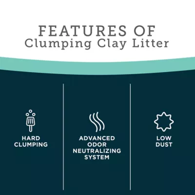 Product ExquisiCat Litter Premium Clumping Multi-Cat Clay Cat Litter - Scented, Low Dust