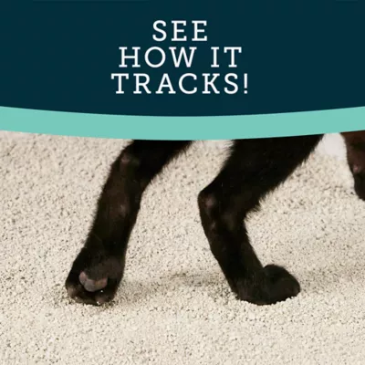Product ExquisiCat Litter Premium Clumping Multi-Cat Clay Cat Litter - Scented, Low Dust