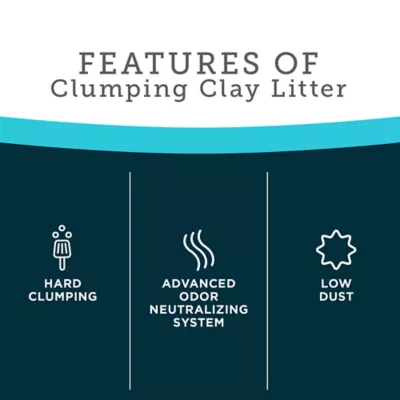 Product ExquisiCat Litter Premium Clumping Multi-Cat Clay Cat Litter - Unscented, Low Dust