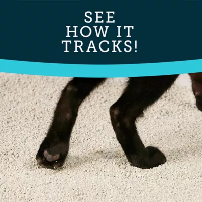 Product ExquisiCat Litter Premium Clumping Multi-Cat Clay Cat Litter - Unscented, Low Dust