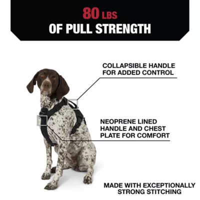 Product KONG® Waste Bag Dog Harness