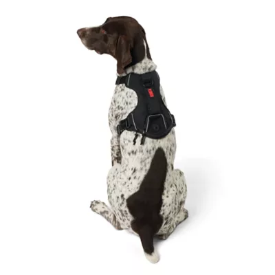 Product KONG® Black Waste Bag Dog Harness