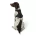 KONG® Poop Bag Dog Harness, Waste Bag Holder, Adjustable, Durable, Multiple Sizes & Colors image thumbnail 1