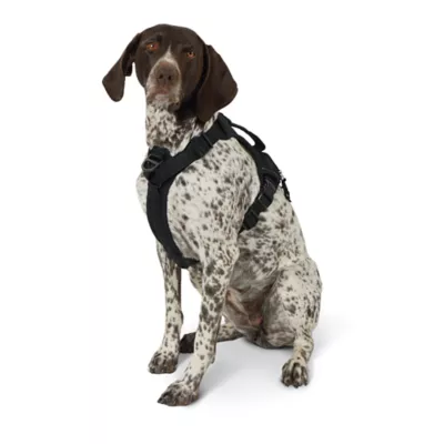 Product KONG® Black Waste Bag Dog Harness