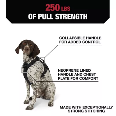 Product KONG® Black Waste Bag Dog Harness