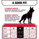 Product KONG® Black Waste Bag Dog Harness