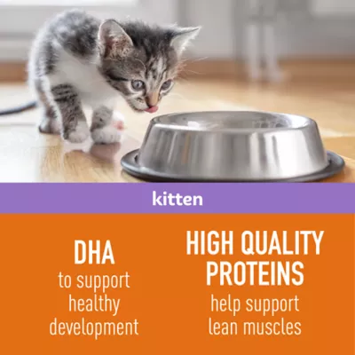 Product Simply Nourish Source Kitten Food - High Protein, Grain Free, Salmon Recipe