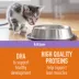 Simply Nourish Source Kitten Food - High Protein, Grain Free, Salmon Recipe image thumbnail 3