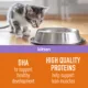 Product Simply Nourish Source Kitten Food - High Protein, Grain Free, Salmon Recipe