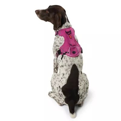 Product KONG® Waste Bag Dog Harness