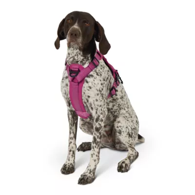 Product KONG® Waste Bag Dog Harness