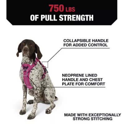 Product KONG® Waste Bag Dog Harness
