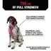 KONG® Poop Bag Dog Harness, Waste Bag Holder, Adjustable, Durable, Multiple Sizes & Colors image thumbnail 3