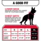 Product KONG® Waste Bag Dog Harness