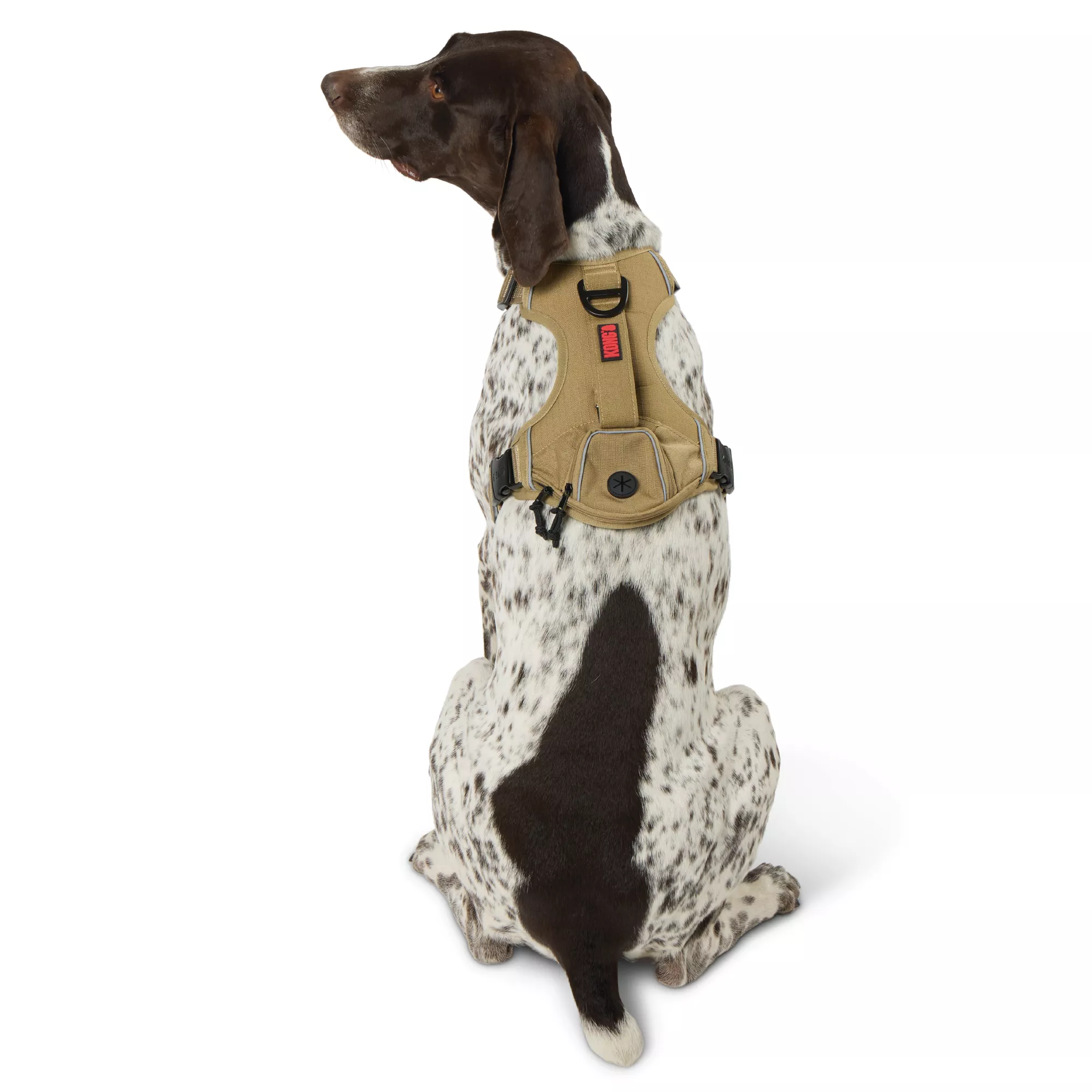 KONG® Waste Bag Dog Harness