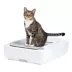 PetSafe ScoopFree Crystal Plus Self-Cleaning Litter Box System image thumbnail 1