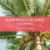 Skout's Honor, Probiotic Deodorizer Sunkissed Coconut 8oz image thumbnail 8