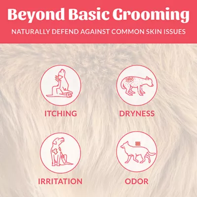 Product Skout's Honor, Probiotic Shampoo + Conditioner Sunkissed Coconut 16oz