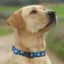 Pets First Carolina Panthers Satin Collar image thumbnail 4