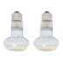 Thrive® Golden Light Basking Spots 2-pack image thumbnail 2