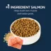 Authority® Everyday Health Indoor Kitten Cat Dry Food - Salmon & Rice, With-Grain image thumbnail 3