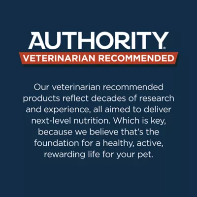 Product Authority® Everyday Health Indoor Kitten Cat Dry Food - Salmon & Rice, With-Grain