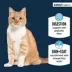 Authority Cat - Adult, Wet Food, Sensitive Stomach + Skin, Chicken, Turkey, 5.5 OZ image thumbnail 2