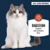 Authority® Digestive Support Cat Meal Topper - 1.4 Oz image thumbnail 2