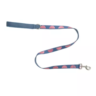 Product Top Paw® Fashion Dog Leash, 4 ft
