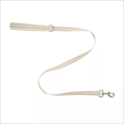 Product Top Paw® Textured Woven Leash, 4 Ft