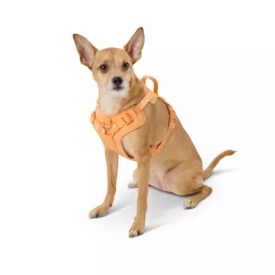 Product Top Paw® Neoprene Comfort Dog Harness