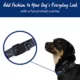 Product Top Paw® Camo Fashion Dog Collar
