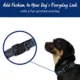 Product Top Paw® Camo Fashion Dog Collar