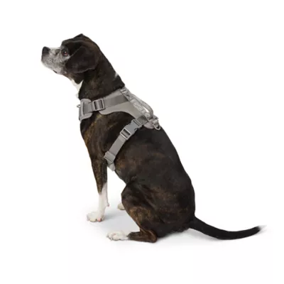 Top Paw® Neoprene Dog Harness, Adjustable, Durable, Comfortable, Multiple Sizes & Colors - Image 1